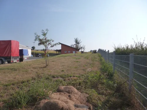 P1040564-vor-dem-Ausbaggern